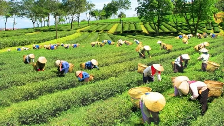 Những chính sách mới của Chính phủ có hiệu lực từ tháng 12/2025