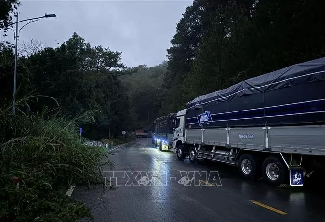 Thông tuyến đèo Mimossa Thông tuyến đèo Mimossa