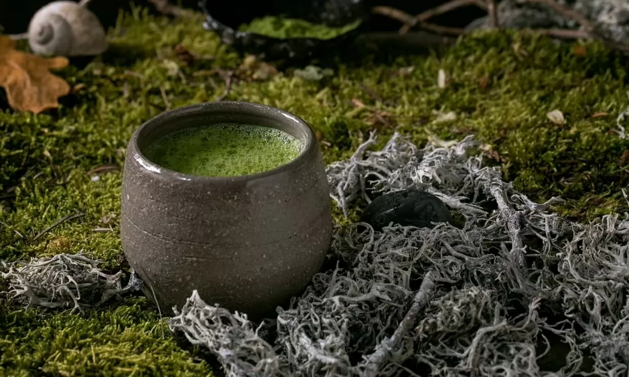 P11C49: Matcha Nhật Bản: Giữ chất lượng hay mở rộng quy mô?