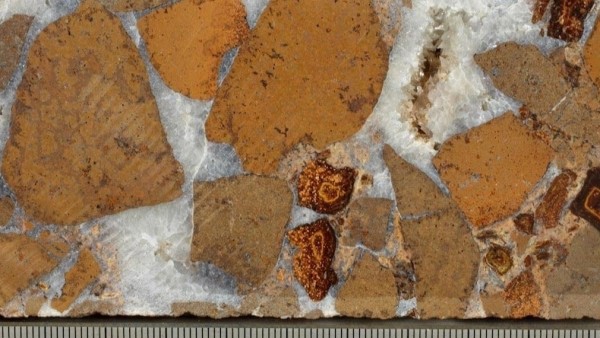 Phát hiện mới về cơ chế hấp thụ carbon tự nhiên của Trái đất