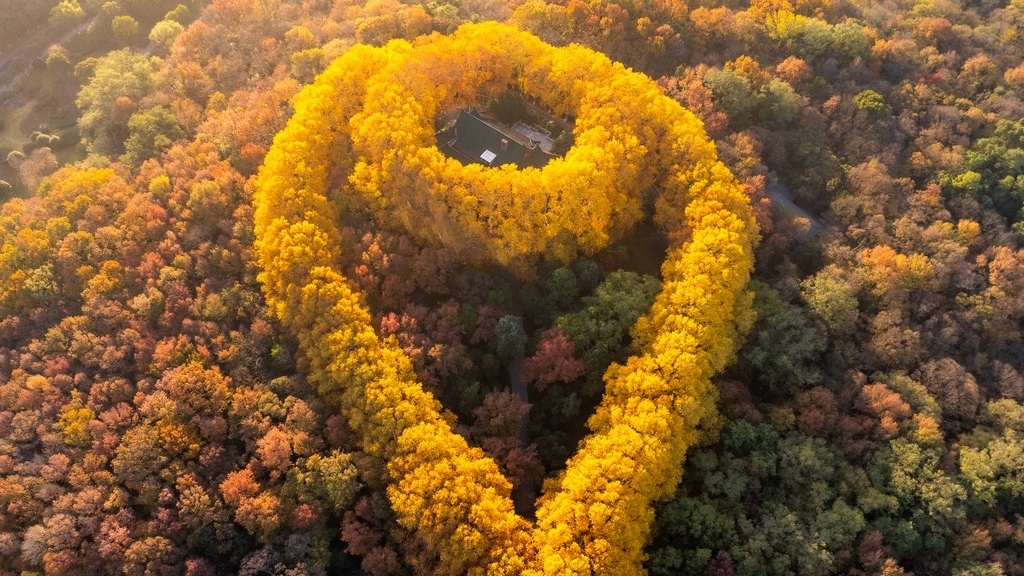 Sợi dây chuyền ngọc lục bảo giữa núi rừng Nam Kinh