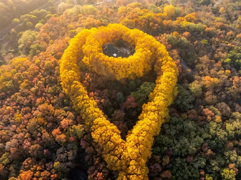 Sợi dây chuyền ngọc lục bảo giữa núi rừng Nam Kinh