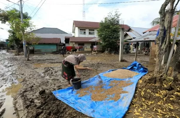 Lũ lụt và lở đất ở Indonesia: Một triệu người phải sơ tán, số người tử vong vượt quá 600 Lũ lụt và lở đất ở Indonesia: Một triệu người phải sơ tán, số người tử vong vượt quá 600