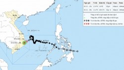 Áp thấp nhiệt đới gió cấp 6, giật cấp 8, di chuyển trên vùng biển Đắk Lắk - Khánh Hòa