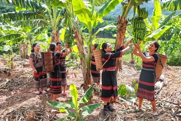 Plan International và sứ mệnh vì trẻ em Việt Nam