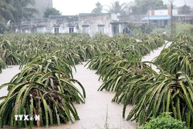Lâm Đồng: Nhiều điểm ngập mới ở các địa phương ven biển, nước lũ đêm dâng nhanh và đột ngột
