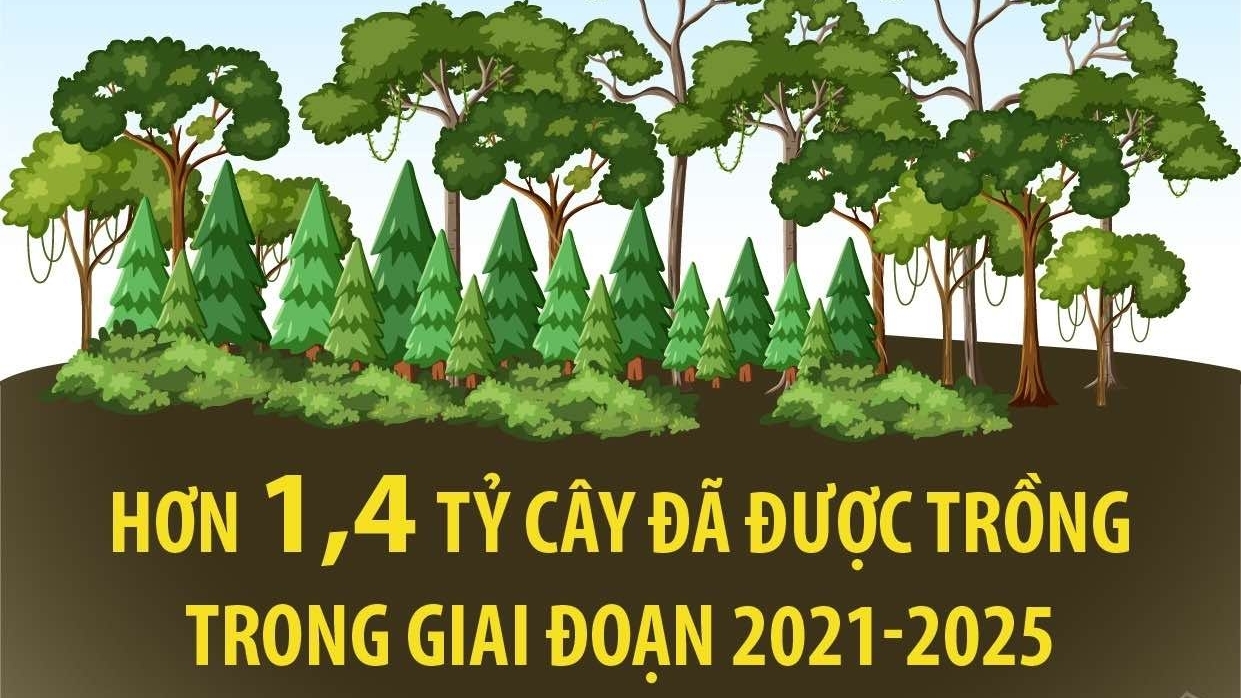 Hơn 1,4 tỷ cây đã được trồng trong giai đoạn 2021-2025