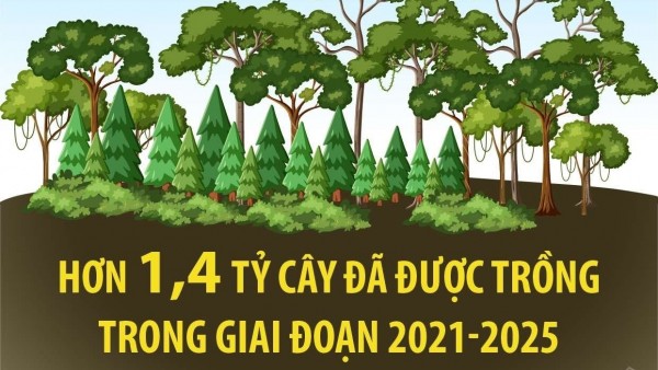 Hơn 1,4 tỷ cây đã được trồng trong giai đoạn 2021-2025