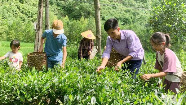 Thái Nguyên: Khai thác tiềm năng phát triển du lịch cộng đồng