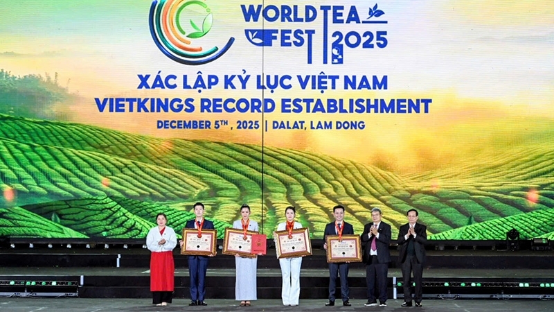 Khai mạc Lễ hội Trà quốc tế 2025, Kết nối tinh hoa trà toàn cầu