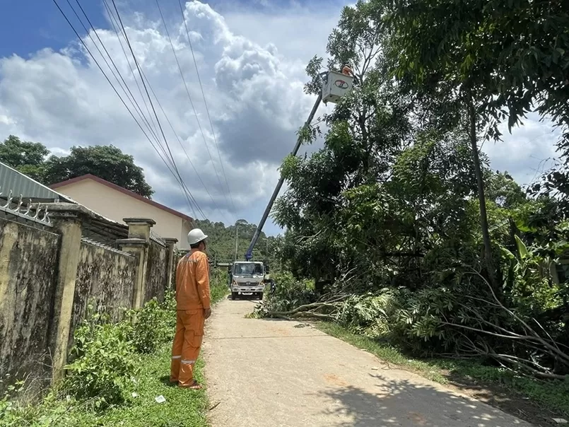 Lịch cúp điện Quảng Ngãi hôm nay ngày 10/12/2025