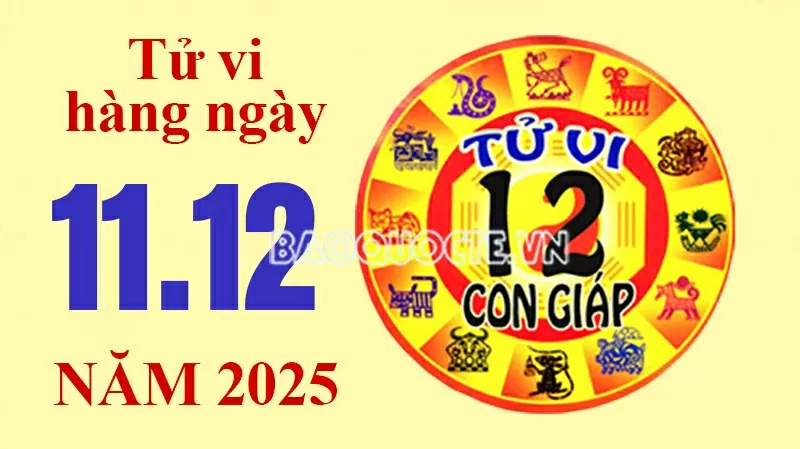 Tử vi hôm nay, xem tử vi 12 con giáp hôm nay ngày 11/12/2025: Tử vi hôm nay, xem tử vi 12 con giáp hôm nay ngày 11/12/2025: