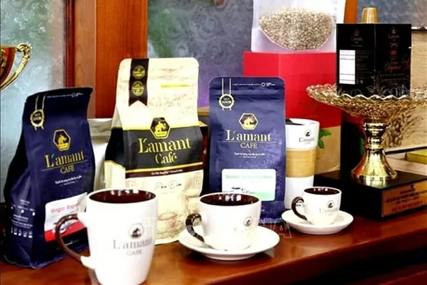 P14C50: Gia Lai - Vùng đất của cơ hội và khát vọng thịnh vượng