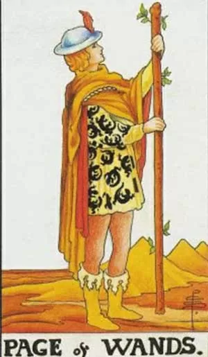 Bài tarot hôm nay 13/12: Bạn cần cải thiện kỹ năng nào để học tốt hơn? Bài tarot hôm nay: