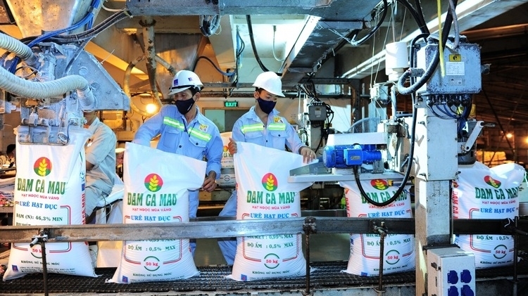 Nâng cao sức cạnh tranh cho doanh nghiệp ngành Sơn phủ, Giấy, Cao su, Nhựa và Hóa chất Việt Nam