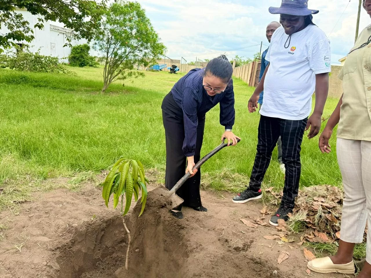 Đại sứ quán Việt Nam tại Mozambique Đại sứ quán Việt Nam tại Mozambique