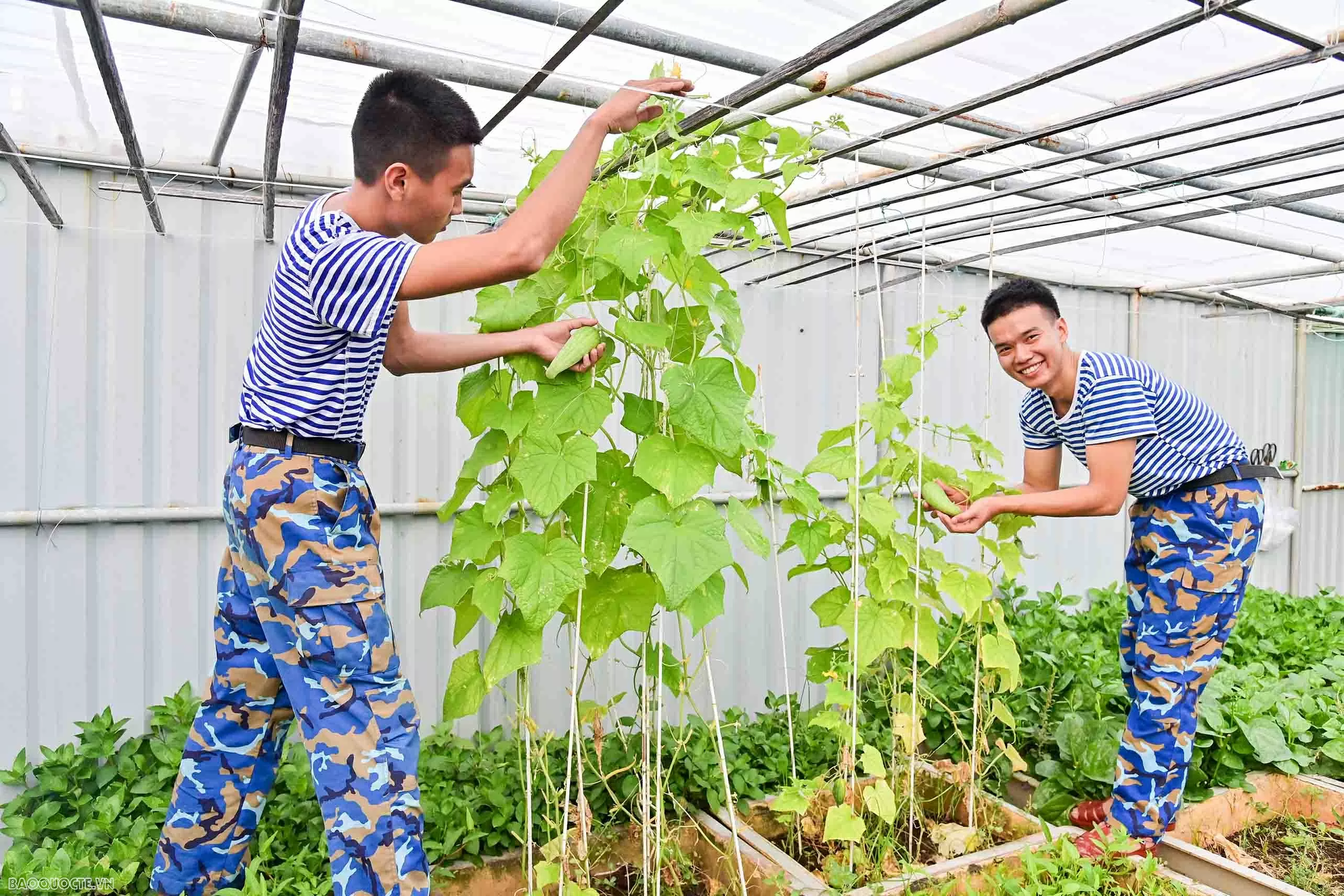 Chuyện những chàng lính trẻ nhà giàn DK1 (Kỳ 1)