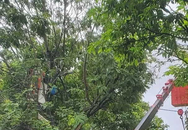 Lịch cúp điện Thành phố Huế hôm nay ngày 16/12/2025