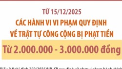 Mức phạt các hành vi vi phạm quy định về trật tự công cộng từ ngày 15/12