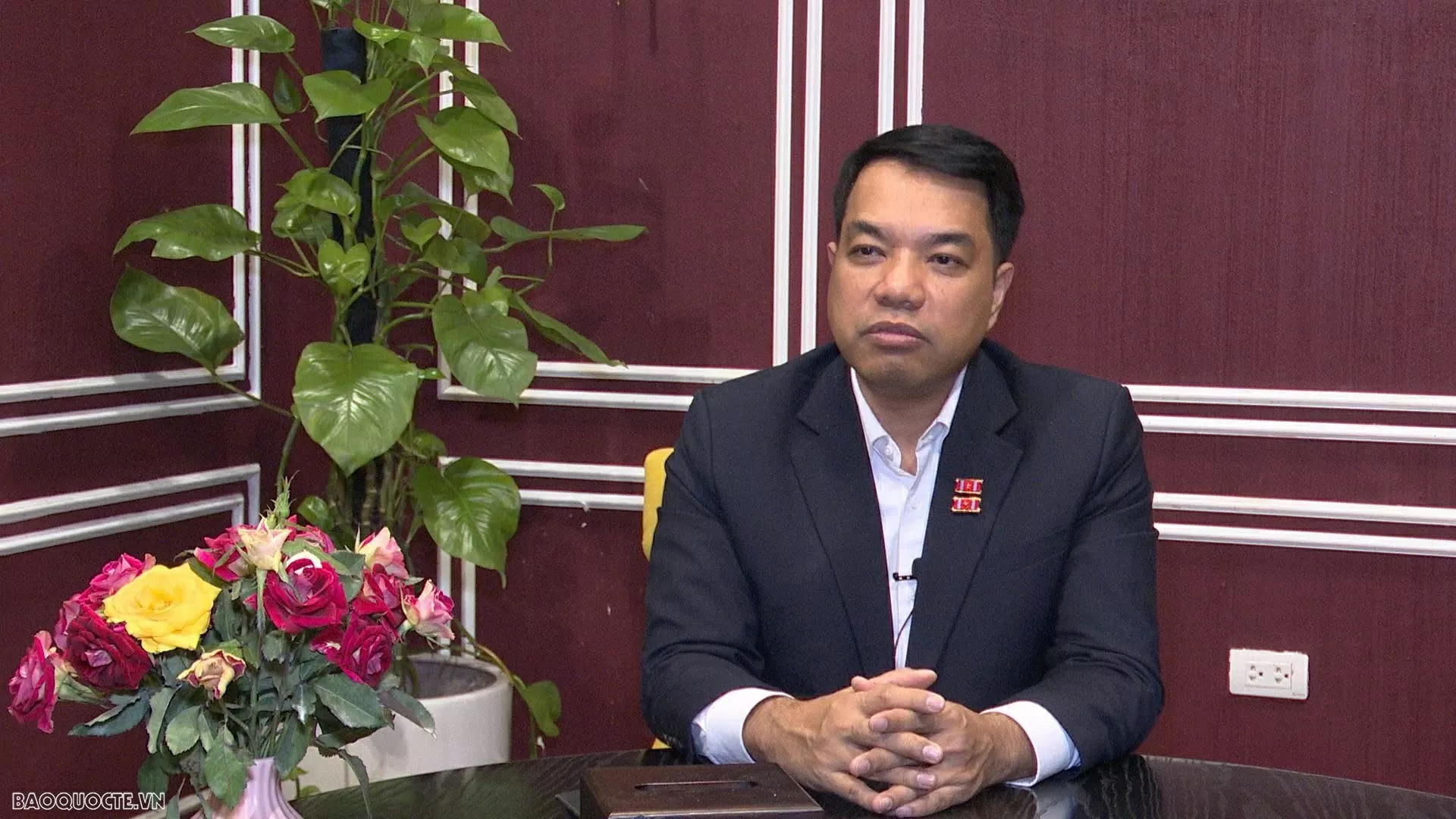 TS. Mạc Quốc Anh TS. Mạc Quốc Anh