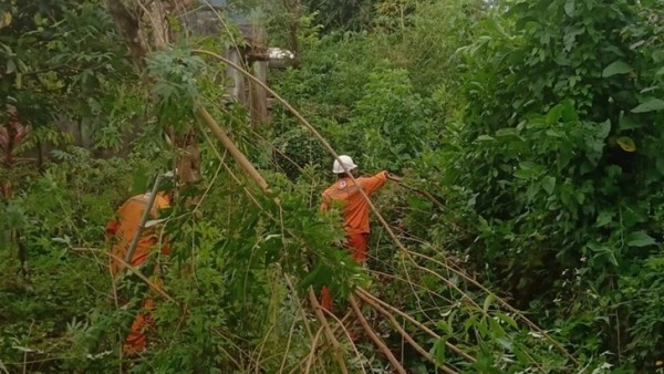 Lịch cúp điện Quảng Ngãi hôm nay ngày 18/12/2025