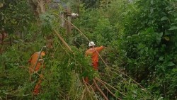 Lịch cúp điện Quảng Ngãi hôm nay ngày 18/12/2025