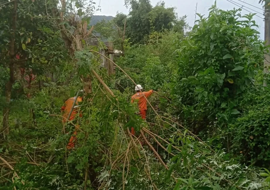 Lịch cúp điện Quảng Ngãi hôm nay ngày 18/12/2025