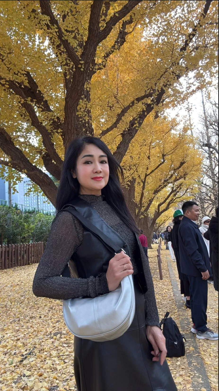 Sao Việt: Sao Việt: