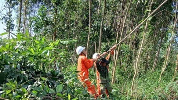 Lịch cúp điện Quảng Ngãi hôm nay ngày 19/12/2025