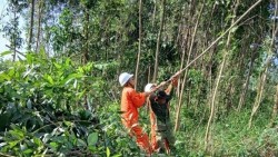 Lịch cúp điện Quảng Ngãi hôm nay ngày 19/12/2025