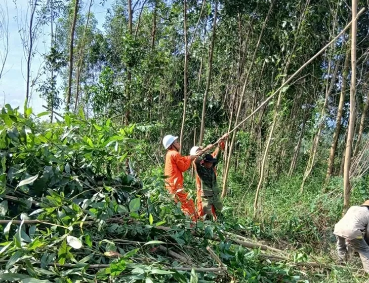 Lịch cúp điện Quảng Ngãi hôm nay ngày 19/12/2025