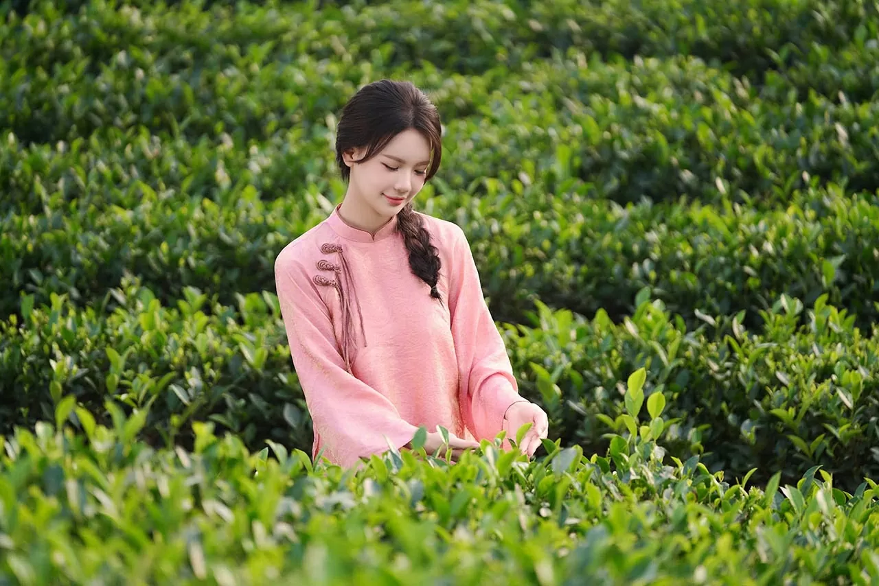 Cô nàng Thúy Lan bên sắc xanh của lá chè sáng sớm.