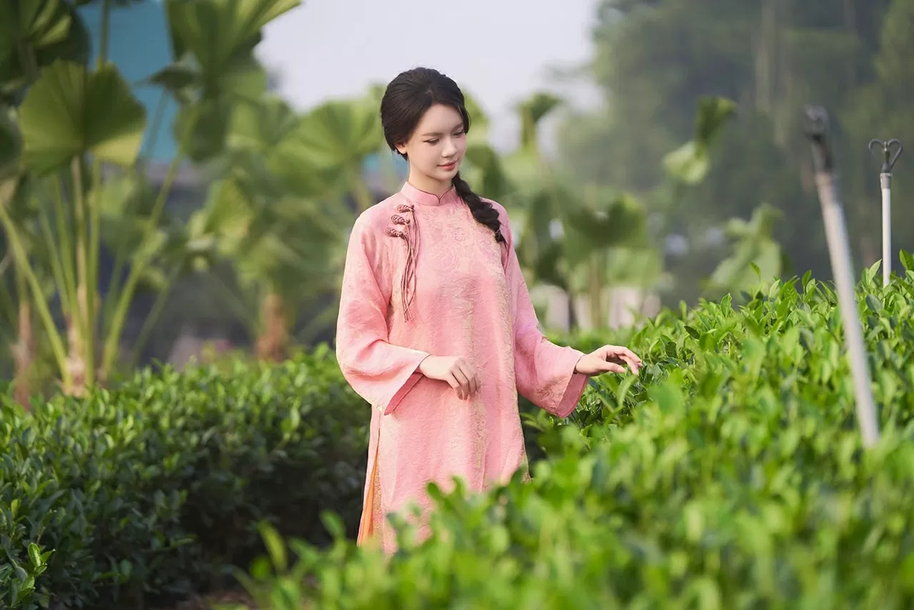 Thong dong trên những triền đồi.