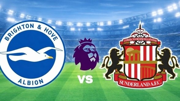 Nhận định, dự đoán tỷ số Brighton vs Sunderland, 22h00 ngày 20/12 - Vòng 17 Ngoại hạng Anh