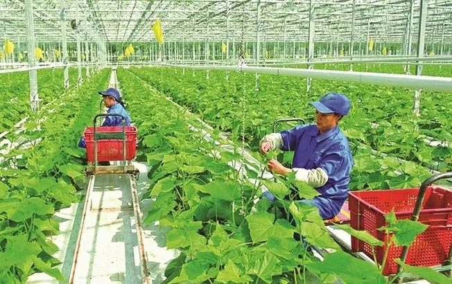 ADB 'bắt tay' BIDV rót 250 triệu USD hỗ trợ nông nghiệp bền vững và chống biến đổi khí hậu