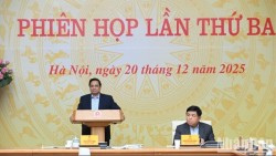 Thủ tướng giao loạt nhiệm vụ cho các bộ, ngành để phát triển kinh tế tư nhân