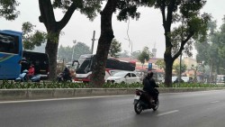 Dự báo thời tiết 10 ngày tới (21-31/12): Bắc Bộ trời rét, vùng núi có rét đậm; Quảng Trị đến TP. Đà Nẵng mưa vừa, cục bộ mưa to đến rất to