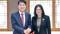 Thành phố Daegu (Hàn Quốc) tiếp tục hỗ trợ cộng đồng người Việt có điều kiện phát triển và hội nhập