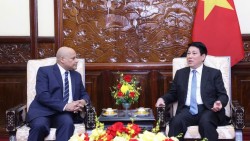 Màu xanh tốt tươi nở rộ trên miền đất quan hệ Việt Nam-Ai Cập