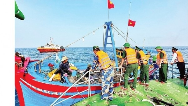 Quang Ngai: Records positive progress in combating IUU fishing