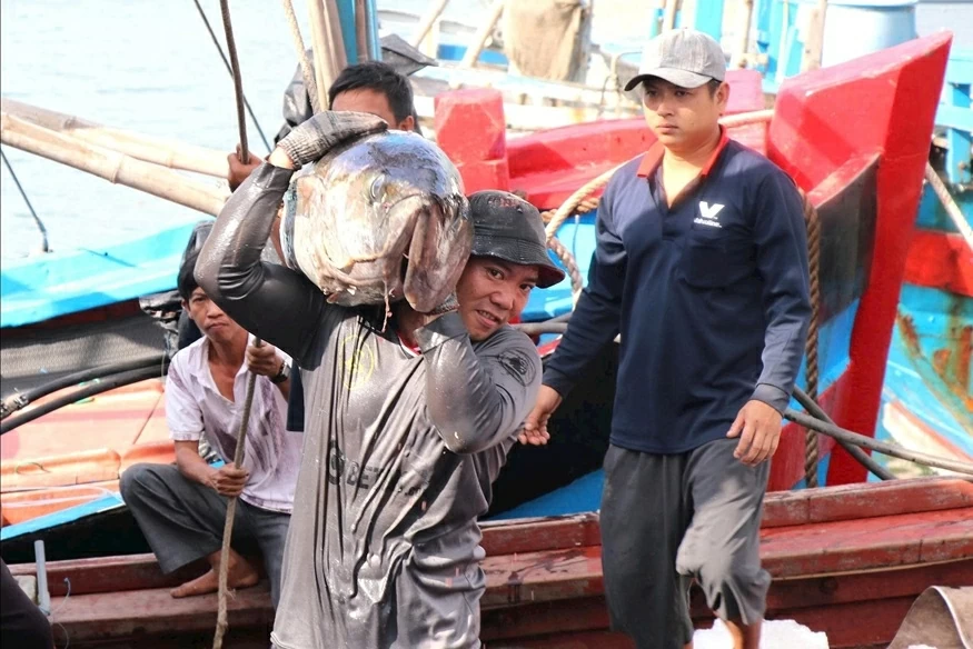 Chống khai thác IUU: Hưng Yên quyết liệt trước giờ G, Đắk Lắk nâng cao nhận thức ngư dân