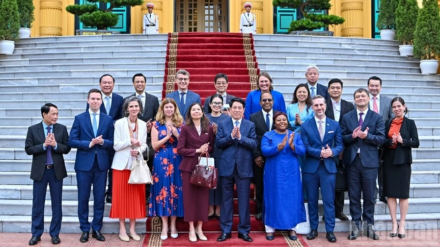 Chủ tịch nước Lương Cường tiếp Điều phối viên Thường trú và Trưởng đại diện các tổ chức Liên hợp quốc tại Việt Nam tháng 9/2025 Chủ tịch nước Lương Cường tiếp Điều phối viên Thường trú và Trưởng đại diện các tổ chức Liên hợp quốc tại Việt Nam tháng 9/2025