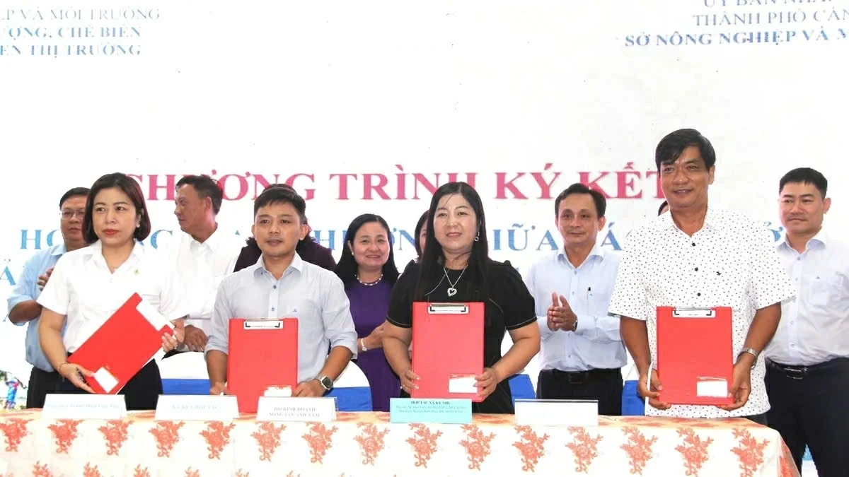 Cần Thơ: Thúc đẩy kết nối giao thương, hình thành chuỗi giá trị nông lâm thủy sản bền vững Cần Thơ: Thúc đẩy kết nối giao thương, hình thành chuỗi giá trị nông lâm thủy sản bền vững