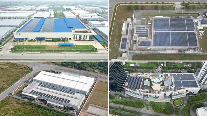 Khách hàng của ACCV bao gồm nhiều tập đoàn đa quóc gia và doanh nghiệp FDI