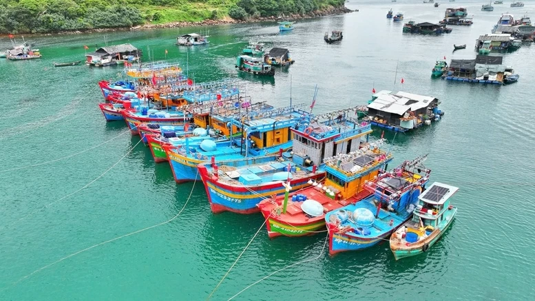 Chống khai thác IUU: Quảng Trị siết chặt kiểm tra từ cảng cá đến ngư trường, An Giang chuẩn hóa quản lý nghề cá