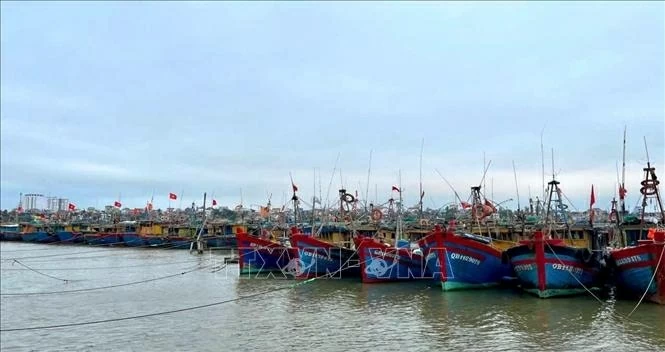 Chống khai thác IUU: Quảng Trị siết chặt kiểm tra từ cảng cá đến ngư trường, An Giang chuẩn hóa quản lý nghề cá