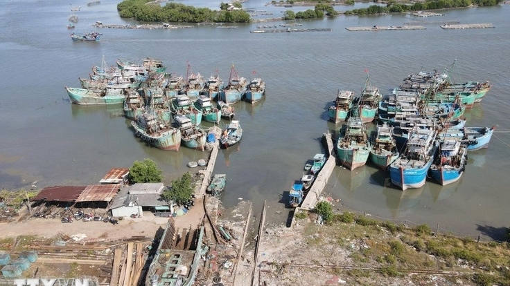 Giải pháp đồng bộ của TP. Hồ Chí Minh nhằm ngăn vi phạm IUU, bảo vệ sinh kế ngư dân