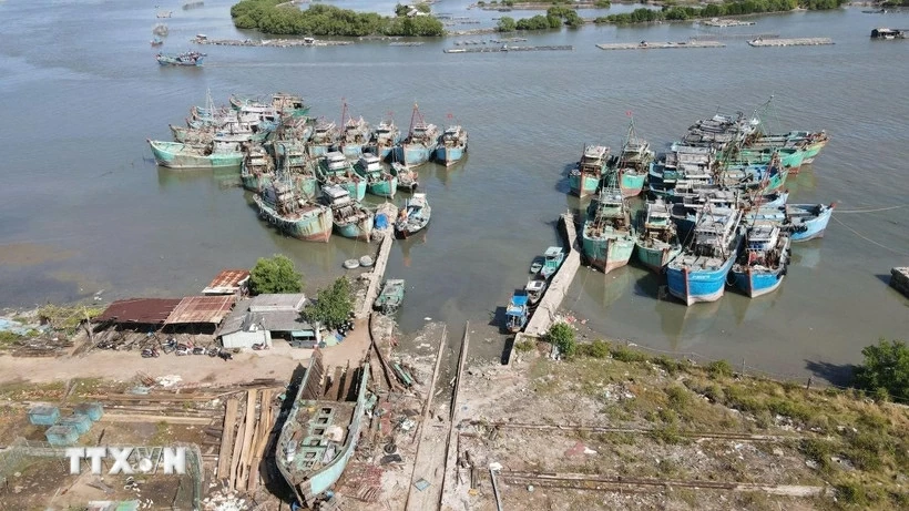 Tàu không đủ điều kiện được xã Phước Hải bố trí neo đậu tại ụ tàu Lứa Bạn cắt cử Ban điều hành ấp trông coi để quản lý chặt chẽ không cho ra khơi xuất bến. (Nguồn: TTXVN)