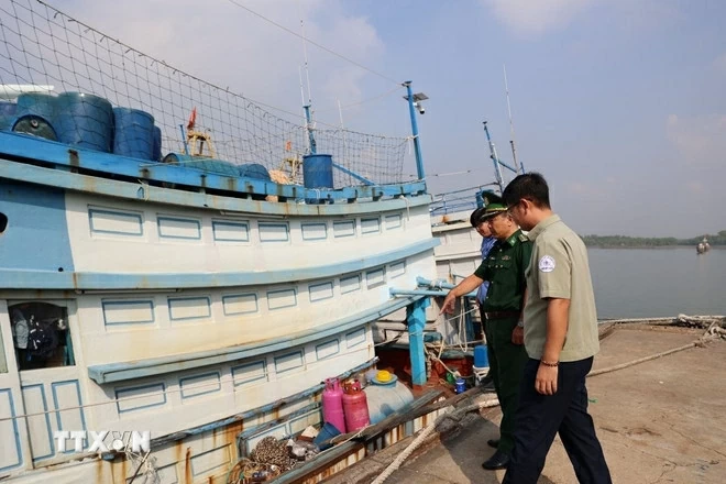 Lực lượng chức năng cảng cá, biên phòng và chính quyền địa phương tại phường Phước Thắng thường xuyên kiểm tra tàu cá không đủ điều kiện neo đậu tại cáng Cát Lở. (Nguồn: TTXVN)