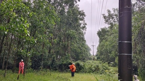 Lịch cúp điện Quảng Ngãi hôm nay ngày 29/12/2025